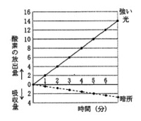 中学生です 中１理科植物での質問です 蒸散と呼吸の違いは何ですか 簡単に教 Yahoo 知恵袋