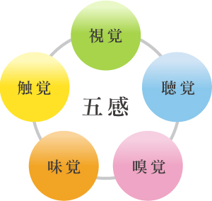 一番重要な五感とはどこですか？ - じじいです。時と場合によりけりで使い分け... - Yahoo!知恵袋
