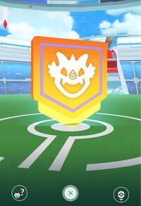 ポケモンgo初心者です このマーク エンブレム はどういう Yahoo 知恵袋