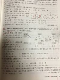 有機物と無機物の違いって何ですか ポリエチレンとかエタ Yahoo 知恵袋