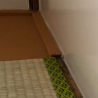 都営入居前です 畳の部屋にクッションフロアを敷くため 防虫防ダニシートを購入し 教えて 住まいの先生 Yahoo 不動産