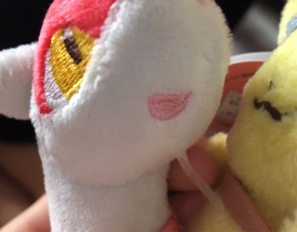 今日ポケモンセンターオンラインで買った商品が届いたのですが、これっ