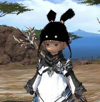 スプリガンの帽子 今では トレジャーハントのドロップアイテムとしてインプリ Yahoo 知恵袋