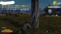 意味 ドン 勝つ