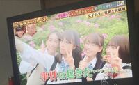 今日 突破 ファイル