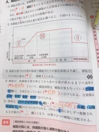 この問題の3の発展って書いてあるところですが 参考書などを見ても減 Yahoo 知恵袋