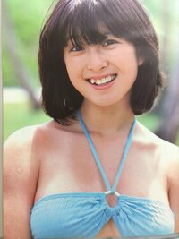 50枚 河合奈保子さん河合奈保子さんの 大きな森の小さなお家 の Yahoo 知恵袋