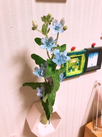 花の棄て時がわかりません 花が好きでよく生花を買ってくるのですがいつすてた Yahoo 知恵袋