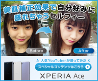 切る 家 を アキレス腱