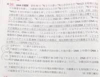 Dnaの複製 3 についてです 大腸菌のゲノムが460万塩基対と言 Yahoo 知恵袋