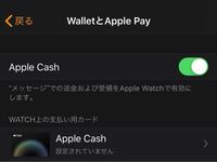 Iphoneのapplepayについての質問です サイドボタンをダブ Yahoo 知恵袋