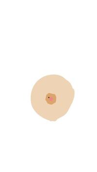 イラストあり 右胸の乳首と乳輪の境目 にホクロがあります ふざけた回答いり Yahoo 知恵袋