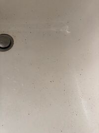 壁に謎の黒いシミ 朝起きてふと洗面所の上を見ると黒いシミみたいなのを発見し Yahoo 知恵袋