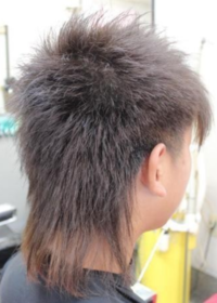 この髪型なんていうんですか マレットヘアですヤンキーに人気です Yahoo 知恵袋