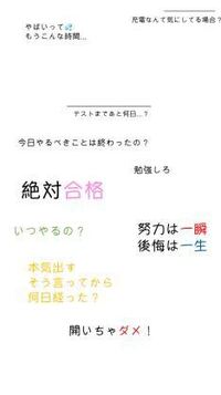 Iphonexrの初期壁紙としてあるこれらの花の名前を教えて下さい 流石にこれ Yahoo 知恵袋