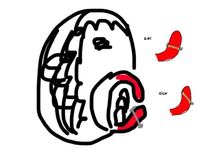 ラブレットを開けたのですが位置が上すぎたのか食べ物を食べてる時に Yahoo 知恵袋