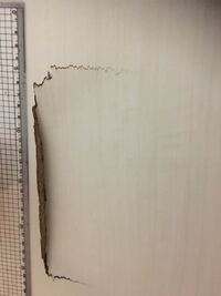 科学の質問です科学のテトラやジなどを覚えるための語呂合わせはない Yahoo 知恵袋