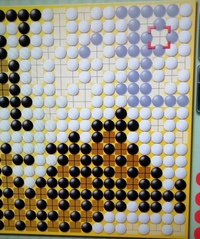 囲碁を始める年齢についてです 私は今年で３０才なのですが 最近囲碁を始 Yahoo 知恵袋