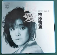 演歌の歌詞で カモメ かもめ 鴎 ってよく出てきますが 何の例えで使わ Yahoo 知恵袋