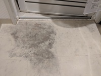 脱衣所クッションフロア下のカビ貼替え相場教えて下さい 築11年のマ Yahoo 知恵袋