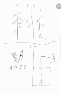 サビキ釣りで針にオキアミをつけるのとつけないのではどれくらい釣果に差があり Yahoo 知恵袋