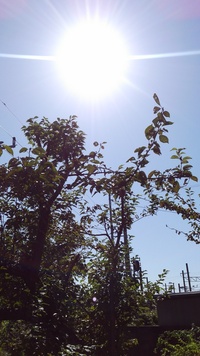 ユーチューブのギター博士ってギター上手いですか きっとカツラと付 Yahoo 知恵袋