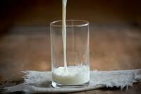 効能 ホット ミルク ミルクティーとは～6つの効果・効能と味、作り方やおすすめの飲み方まとめ