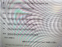 Pcsx2で16 9の画面でドラクエ8をしたいのですが 以下の設 Yahoo 知恵袋