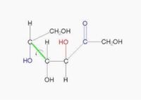 フルクトースのbー５員環と鎖状の構造式の覚え方はありませんか Yahoo 知恵袋