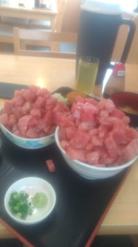 マグロとカツオってどっちの方が栄養が高いのですか 余り変わらないです Yahoo 知恵袋