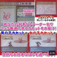 ポケットモンスターエメラルドの プロアクションリプレイのコ Yahoo 知恵袋