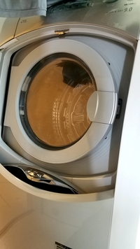 ペットを飼っている方に ペット用品の洗濯についてお聞きします Yahoo 知恵袋