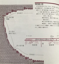 編み物ベストの衿ぐりの拾い目が分かりません 画像の編み図でベストを編んでいます Yahoo 知恵袋