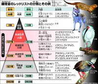 静岡県内で車で砂浜に乗り入れできる場所を探しています Yahoo 知恵袋