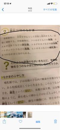 うなぎは両生類ですか 魚類ですか 魚類です 海と川を行き来しま Yahoo 知恵袋