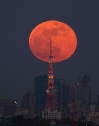 ゼルダの伝説ブレスオブザワイルドで 赤い月を発生させる方法はあります Yahoo 知恵袋