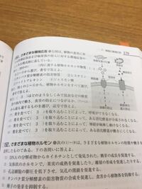 至急お願い致します 植物を育てる技術は 動物や水産生物を Yahoo 知恵袋