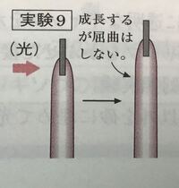 雲母ってなんですか 雲母 うんも はマイカ Mica とも呼ばれる天然の Yahoo 知恵袋