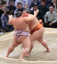 御岳海のほっぺのところが黒いのは糖尿病ですか 太った人がほっぺが黒い Yahoo 知恵袋