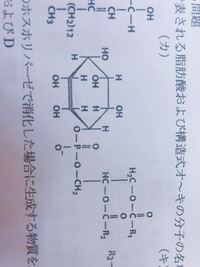 至急 アミラーゼの化学式分子構造分子式を教えてください Chiel Yahoo 知恵袋