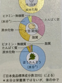 教えてください 中１家庭科五大栄養素にわけよ ほうれん草きゅうり牛乳豆腐 Yahoo 知恵袋