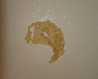 こうなった壁の修理費はいくら位ですか 1kのキッチンの壁紙です 職人日 Yahoo 知恵袋