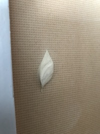 なり何なり と か何か の違いについて なり何なり の 何 Yahoo 知恵袋