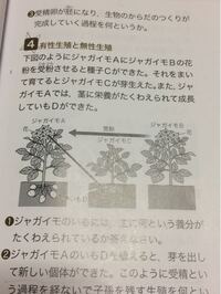 いもくさい とはどういう意味ですか 田舎者と言う意味ですかね Yahoo 知恵袋