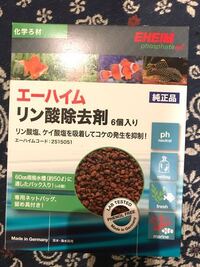 釣ったカサゴとメバルの飼育について 餌を食べてくれないで Yahoo 知恵袋