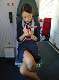 Jalの客室乗務員の給料が高すぎなのはスルーなんですか アホ民主党とマスコ Yahoo 知恵袋