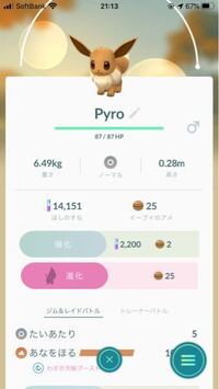 ポケットモンスターブラック2イーブイから進化するポケモンでよく Yahoo 知恵袋