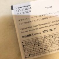 ディズニーのチケットって 裏に指定日が書かれていなければ有効期限中はいつでも Yahoo 知恵袋