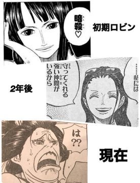 印刷可能 ワンピース ロビン 編 アニメーションワンピース画像