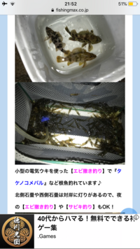 シラサエビの養殖に関してです 一般的に 何匹くらい飼え Yahoo 知恵袋